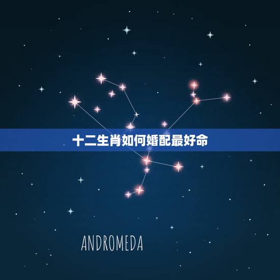 十二生肖如何婚配最好命,十二生肖如何婚配最好命,很准 十二生肖如何婚配最好命,十二生肖如何婚配最好命,很准