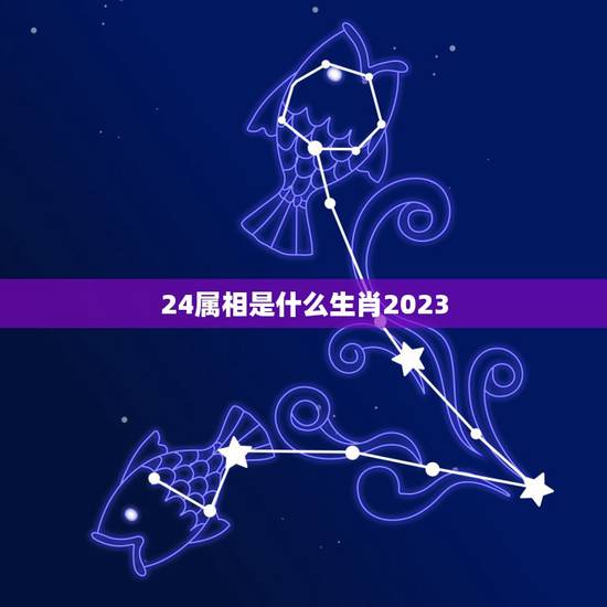 24属相是什么生肖2023,明天属什么生肖老黄历2023.2.24属什 24属相是什么生肖2023,明天属什么生肖老黄历2023.2.24属什
