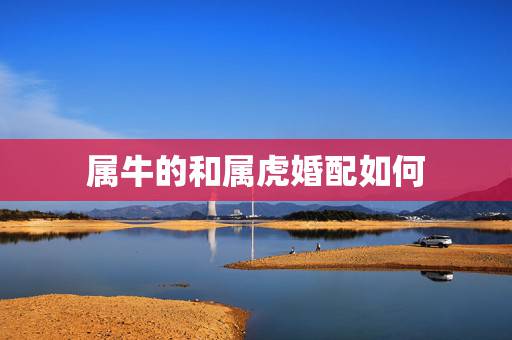 属牛的和属虎婚配如何，属虎和属牛相配吗？