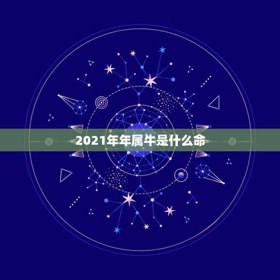 2021年年属牛是什么命，2021年是什么牛五行属什么