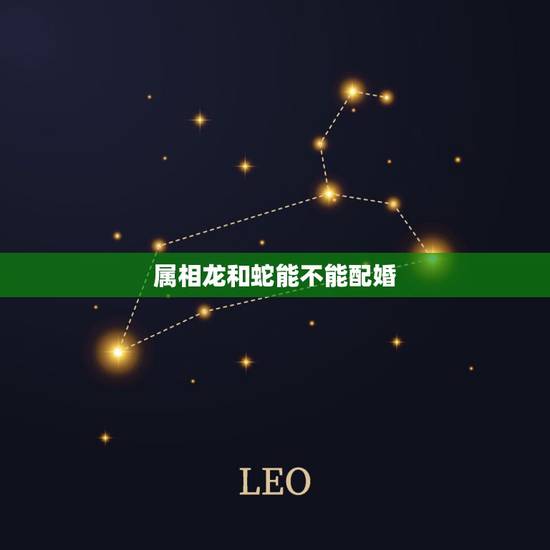 属相龙和蛇能不能配婚,龙和蛇属相上配吗?我是88年的龙,女朋友是89年 属相龙和蛇能不能配婚,龙和蛇属相上配吗?我是88年的龙,女朋友是89年