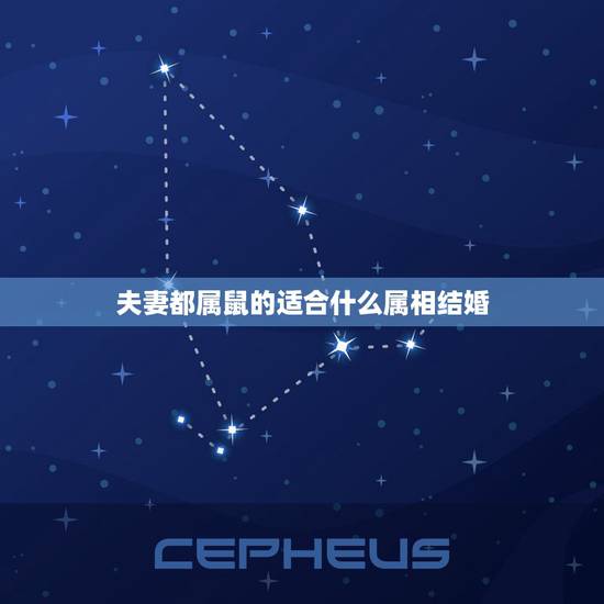夫妻都属鼠的适合什么属相结婚，两个属鼠的人结婚适合吗？