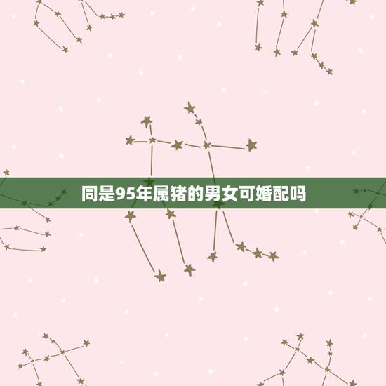 同是95年属猪的男女可婚配吗,1995年属猪的与同年的人婚姻配吗? 同是95年属猪的男女可婚配吗,1995年属猪的与同年的人婚姻配吗?