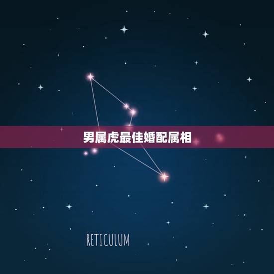 男属虎最佳婚配属相,属虎的男人和什么属相的女人配 男属虎最佳婚配属相,属虎的男人和什么属相的女人配