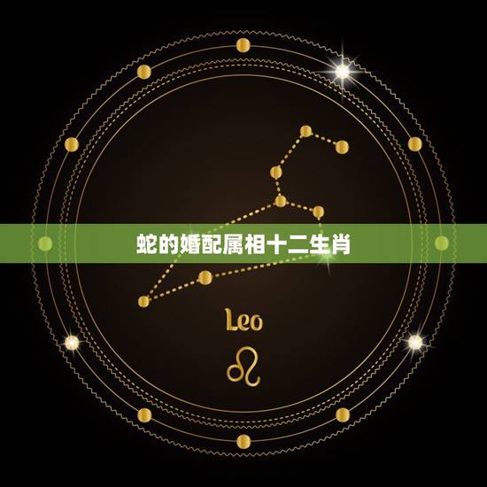 蛇的婚配属相十二生肖,属蛇婚配哪个属相最好 蛇的婚配属相十二生肖,属蛇婚配哪个属相最好