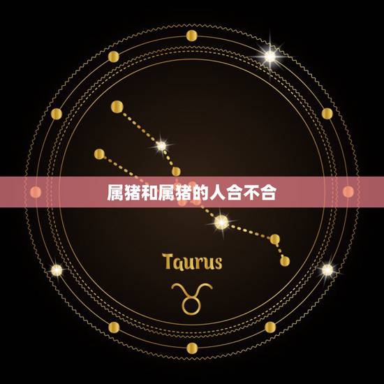 属猪和属猪的人合不合,属马和属猪的合不合 属猪和属猪的人合不合,属马和属猪的合不合