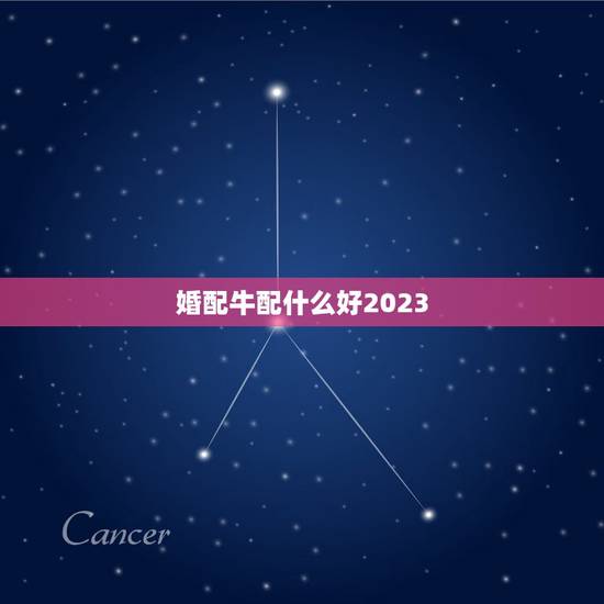 婚配牛配什么好2023，属牛的和什么属相配最好呢！