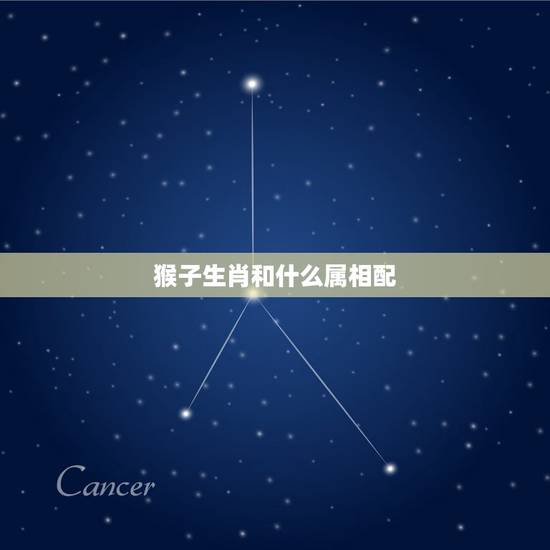 猴子生肖和什么属相配，属猴的生肖婚配表 属猴的和什么属相最配？