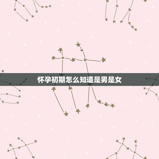怀孕初期怎么知道是男是女,孕妇生女孩的特征怎么表现出来的呀? 怀孕初期怎么知道是男是女,孕妇生女孩的特征怎么表现出来的呀?