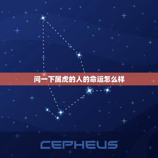问一下属虎的人的命运怎么样，属虎的人命怎么样