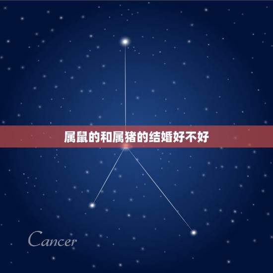 属鼠的和属猪的结婚好不好，男属猪女属鼠婚姻状况