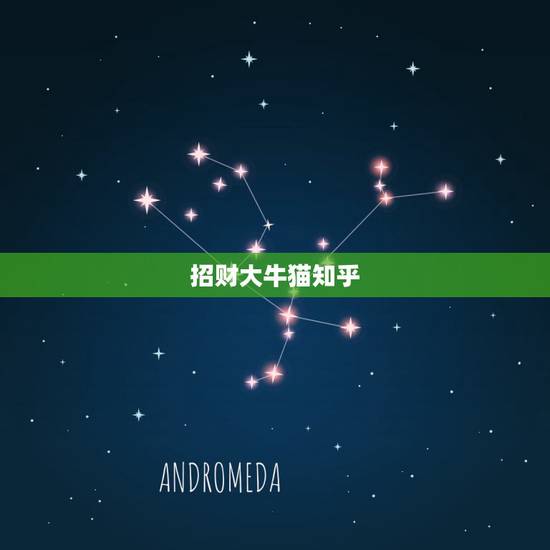 招财大牛猫知乎，比较好的微信公众号有哪些？最好是财经类的