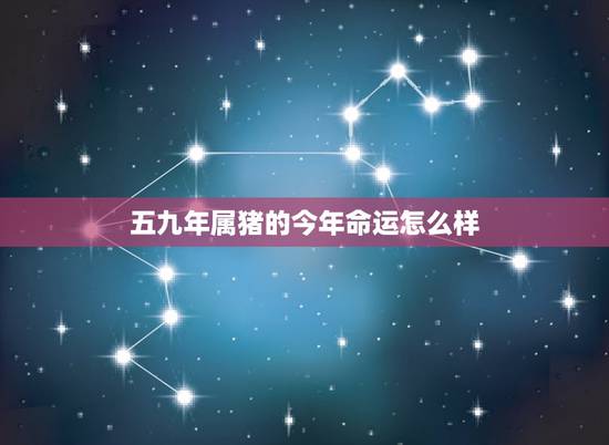 五九年属猪的今年命运怎么样,属猪1959年出生的男人 五九年属猪的今年命运怎么样,属猪1959年出生的男人
