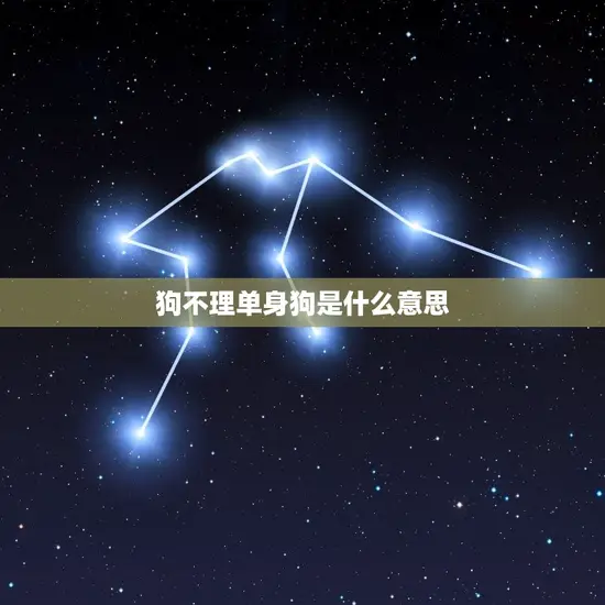 狗不理单身狗是什么意思 狗不理单身狗是什么意思