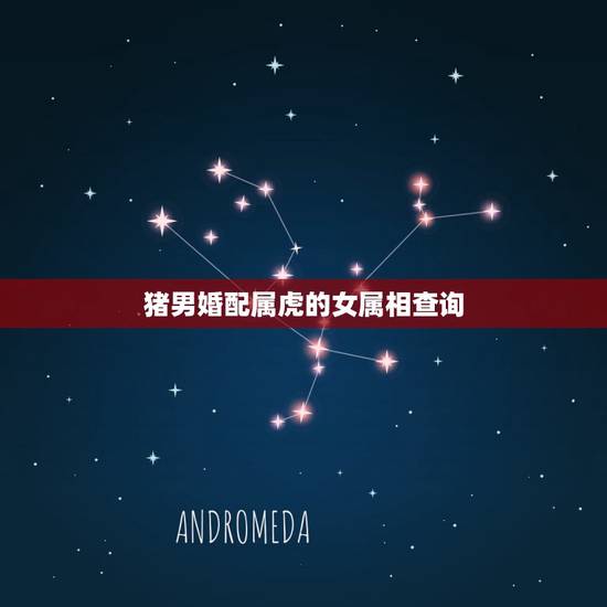 猪男婚配属虎的女属相查询，属虎和属猪的相配吗