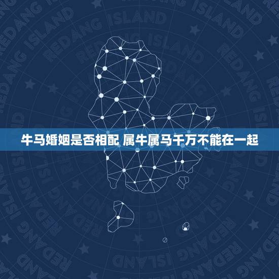 牛马婚姻是否相配 属牛属马千万不能在一起