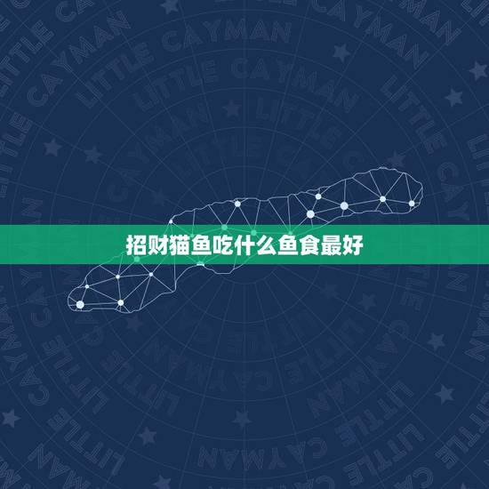 招财猫鱼吃什么鱼食最好,招财鱼喂什么饲料好 招财猫鱼吃什么鱼食最好,招财鱼喂什么饲料好