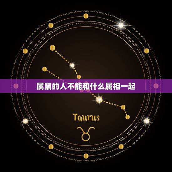 属鼠的人不能和什么属相一起，属鼠的人不能和什么人在