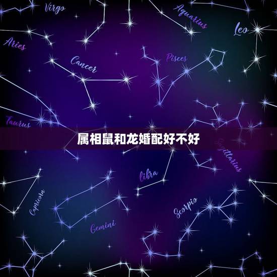 属相鼠和龙婚配好不好,十二生肖婚配里面老鼠可以配兔子吗 属相鼠和龙婚配好不好,十二生肖婚配里面老鼠可以配兔子吗