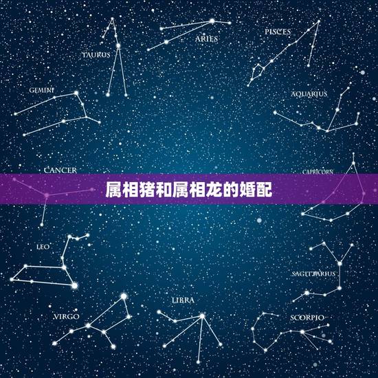 属相猪和属相龙的婚配,属猪与属龙相配吗 属相猪和属相龙的婚配,属猪与属龙相配吗
