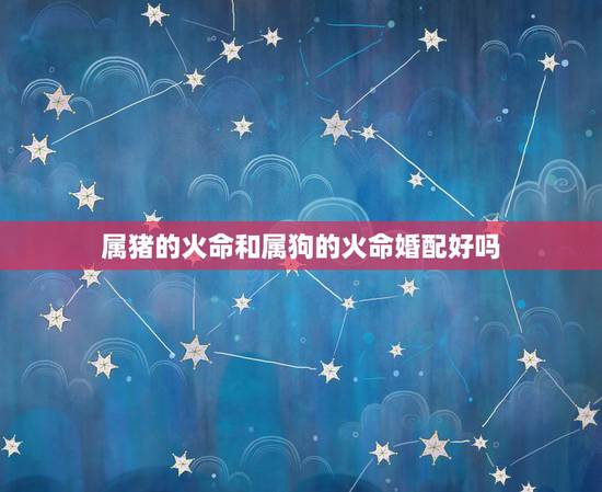 属猪的火命和属狗的火命婚配好吗,属猪火命的和属狗火命的配吗 属猪的火命和属狗的火命婚配好吗,属猪火命的和属狗火命的配吗