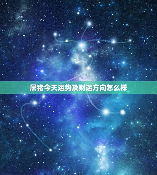 属猪今天运势及财运方向怎么样