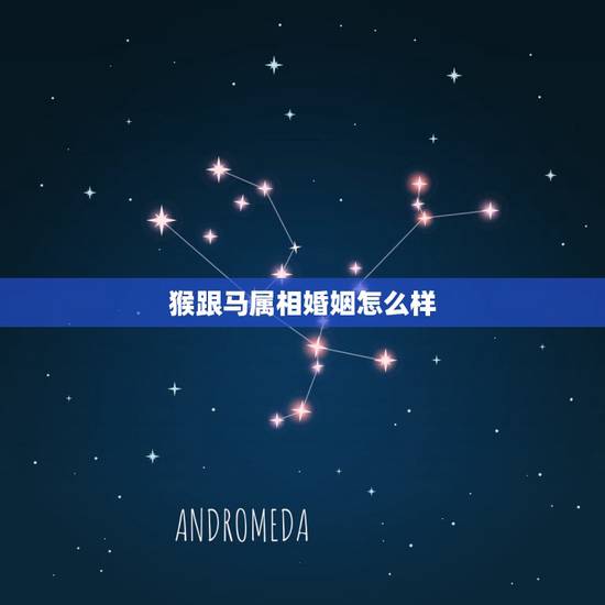 猴跟马属相婚姻怎么样,属相马和猴性格和吗? 猴跟马属相婚姻怎么样,属相马和猴性格和吗?