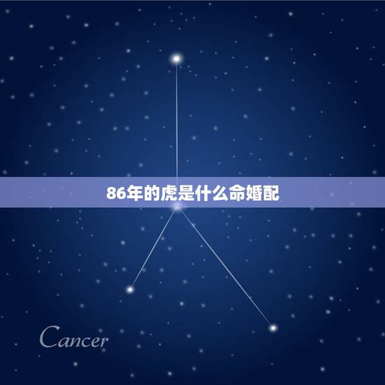 86年的虎是什么命婚配,86年属虎女与88年属龙男适合婚配吗? 86年的虎是什么命婚配,86年属虎女与88年属龙男适合婚配吗?
