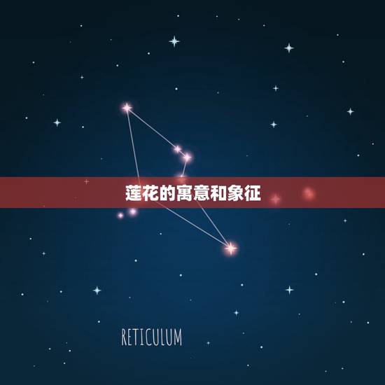 莲花的寓意和象征,荷花代表什么意思 莲花的寓意和象征,荷花代表什么意思