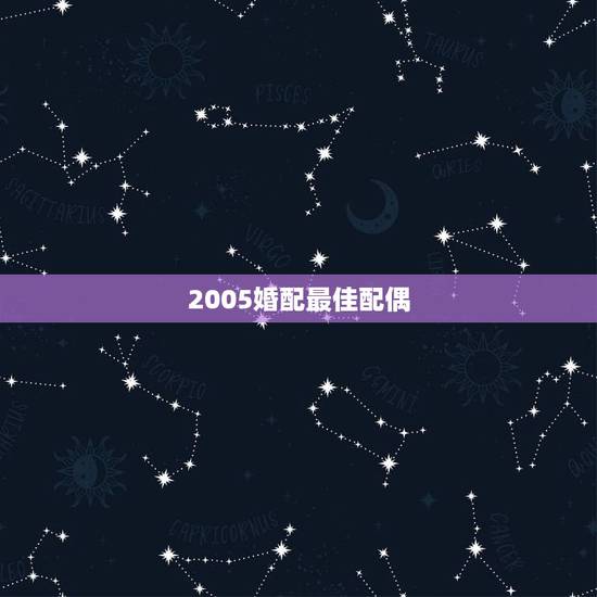 2005婚配最佳配偶，婚姻属性最佳配偶