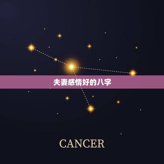 夫妻感情好的八字,夫妻八字相合有什么好处 夫妻感情好的八字,夫妻八字相合有什么好处