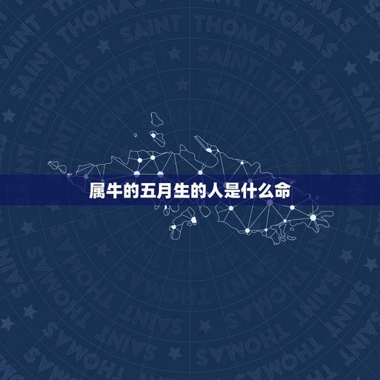 属牛的五月生的人是什么命，1997属牛的人生在5月是什么命？金木水火土