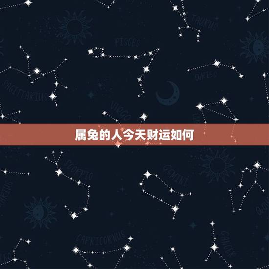 属兔的人今天财运如何,属兔人未来三年运势 属兔的人今天财运如何,属兔人未来三年运势