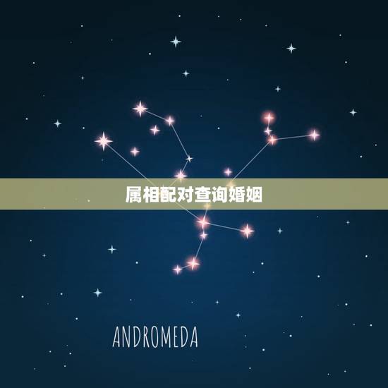 属相配对查询婚姻，婚姻属相配对大全很准