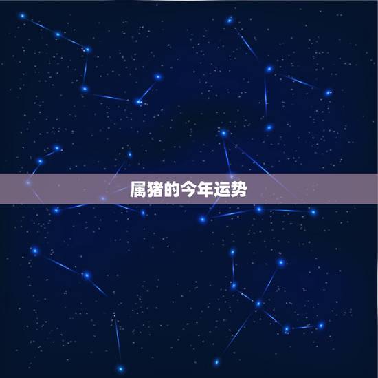 属猪的今年运势,十二生肖与人生运势 属猪的今年运势,十二生肖与人生运势