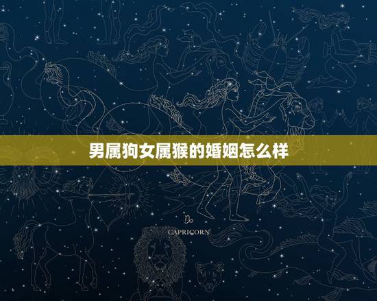 男属狗女属猴的婚姻怎么样,男属狗女属猴能长久吗 男属狗女属猴的婚姻怎么样,男属狗女属猴能长久吗