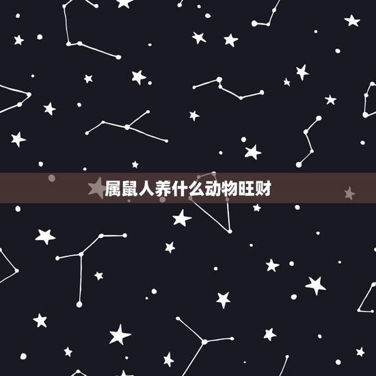属鼠人养什么动物旺财，属鼠不宜去的方位