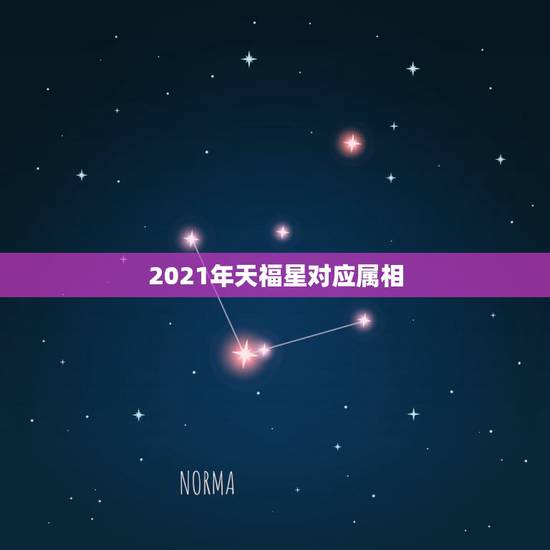 2021年天福星对应属相,宋韶光2021年十二生肖运程 2021年天福星对应属相,宋韶光2021年十二生肖运程