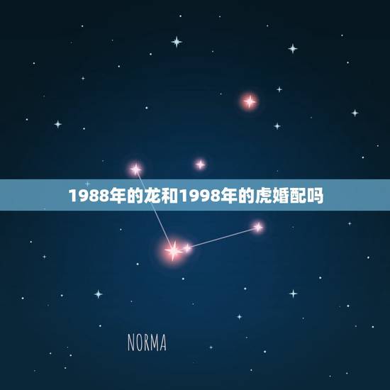 1988年的龙和1998年的虎婚配吗，88年男属龙的和98年女属虎的婚
