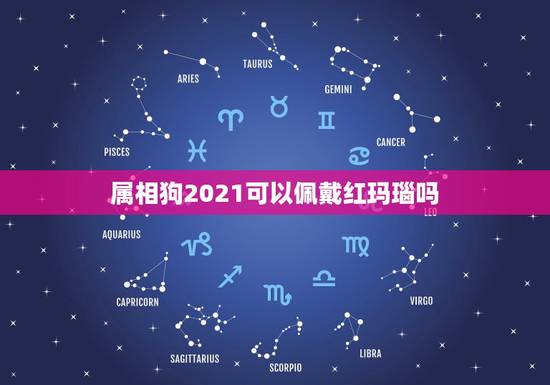 属相狗2021可以佩戴红玛瑙吗，生肖狗2021年运势