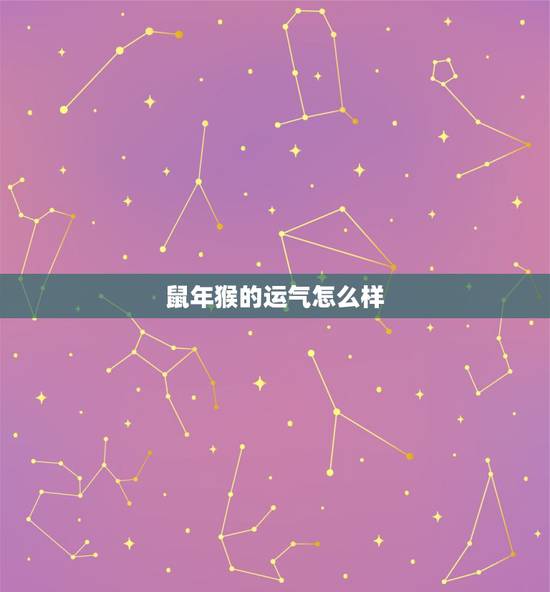 鼠年猴的运气怎么样,属鼠人在猴年运势 鼠年猴的运气怎么样,属鼠人在猴年运势