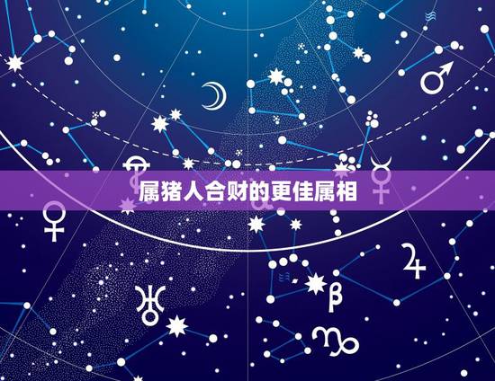 属猪人合财的更佳属相，属猪的人和什么属相最合