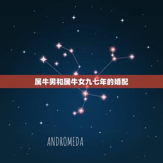 属牛男和属牛女九七年的婚配,97年属牛女最佳婚配年龄 属牛男和属牛女九七年的婚配,97年属牛女最佳婚配年龄