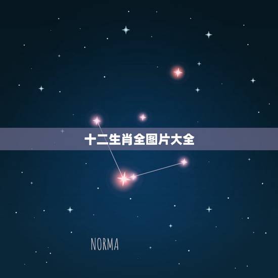 十二生肖全图片大全 十二生肖记忆口诀