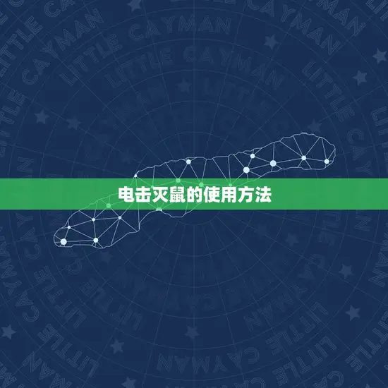 电击灭鼠的使用方法