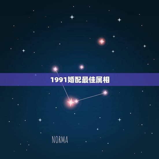 1991婚配最佳属相，1991年的羊和什么属相最配