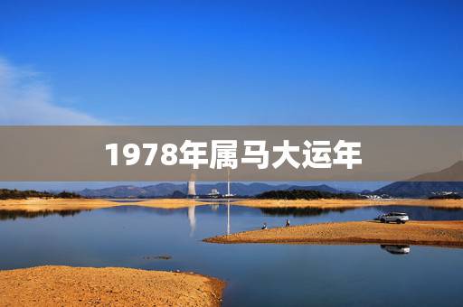 1978年属马大运年,78年属马何时走大运 1978年属马大运年,78年属马何时走大运