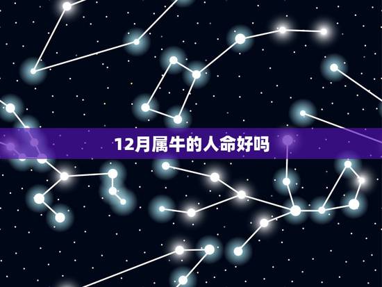 12月属牛的人命好吗，属牛12月出生有福气