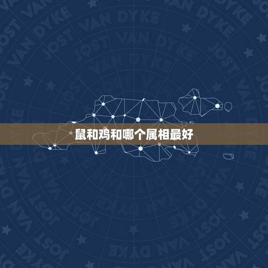 鼠和鸡和哪个属相最好，12生肖属鸡和属鼠怎么样啊