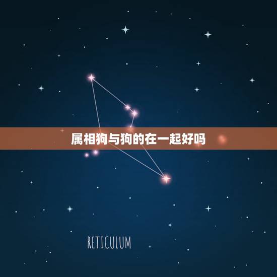 属相狗与狗的在一起好吗，牛和狗属相合不合适